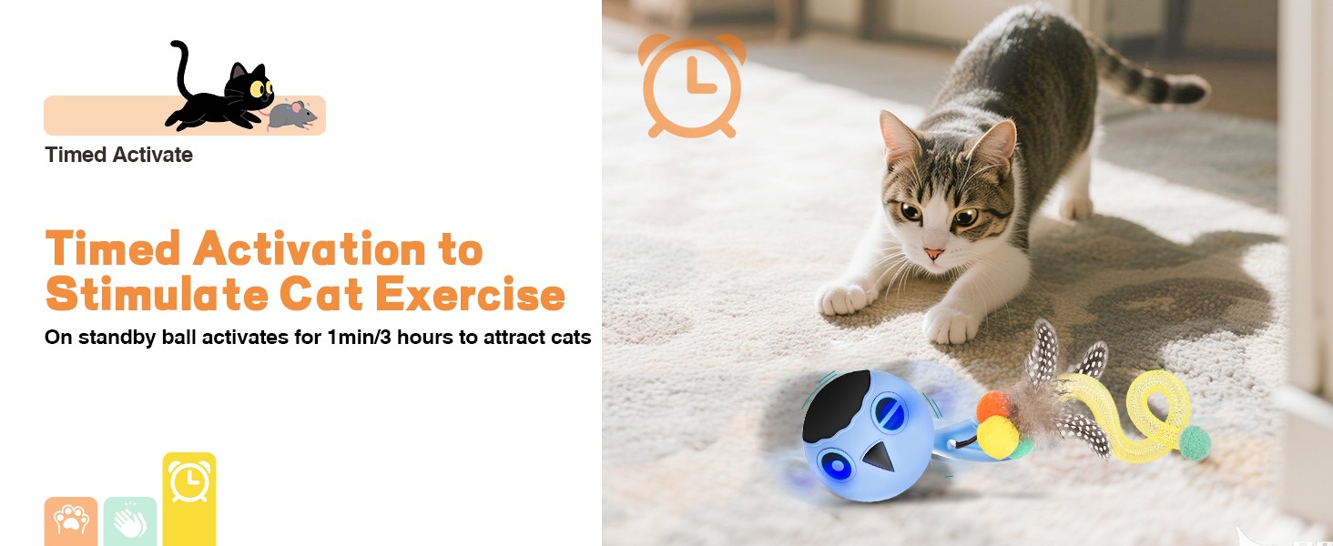 interactive cat toy