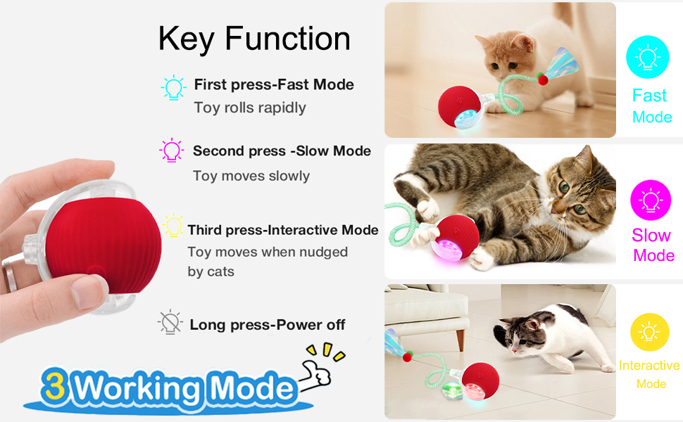 interactive cat toy