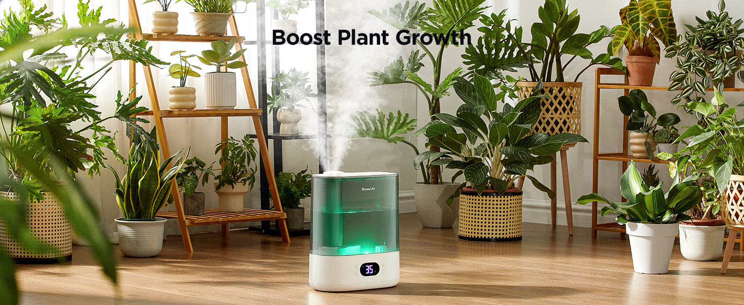 Plant humidiifer