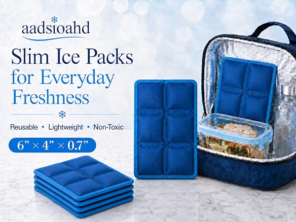 Ice Packs for Lunch Boxes