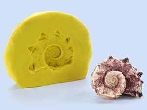 Shell Imprint