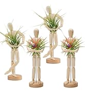 ANPHSIN 4 Pcs 8.6'' Wooden Air Plant Holder - Unique Jointed Mannequin Airplant Stand with Adjust...