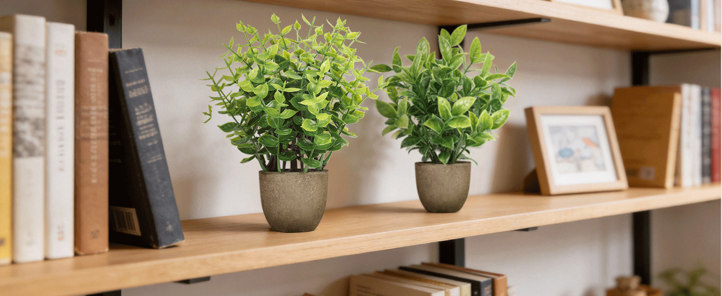 artificial plants indoor