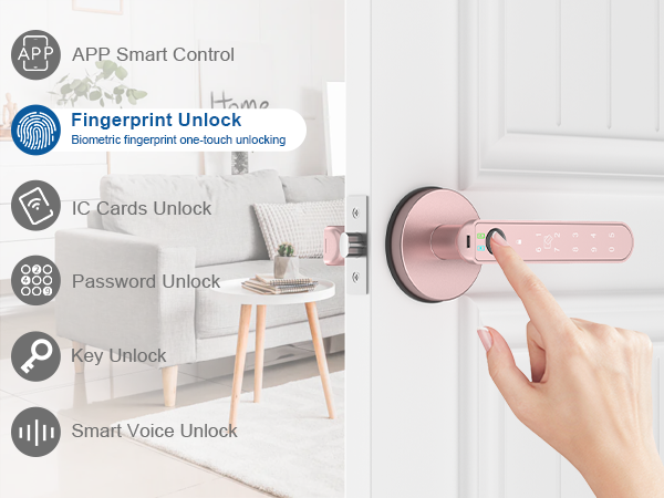 biometric door lock