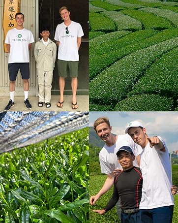 Collage of Tenzo founders with Japanese tea farmers and lush green tea fields in Japan