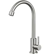 Heyalan Brushed Nickel Kitchen Faucet Cold Water Only 1 Hole Single Handle 360 Degree Swivel Spou...