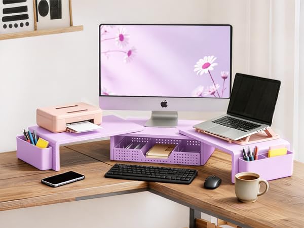 dual monitor riser