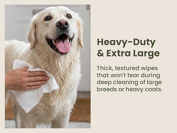 Heavy Duty