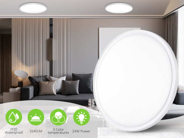 Ceiling Light