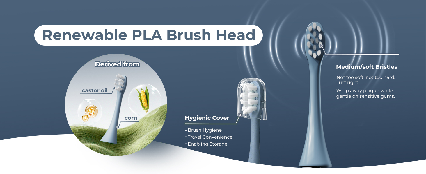 toothbrush replacement heads