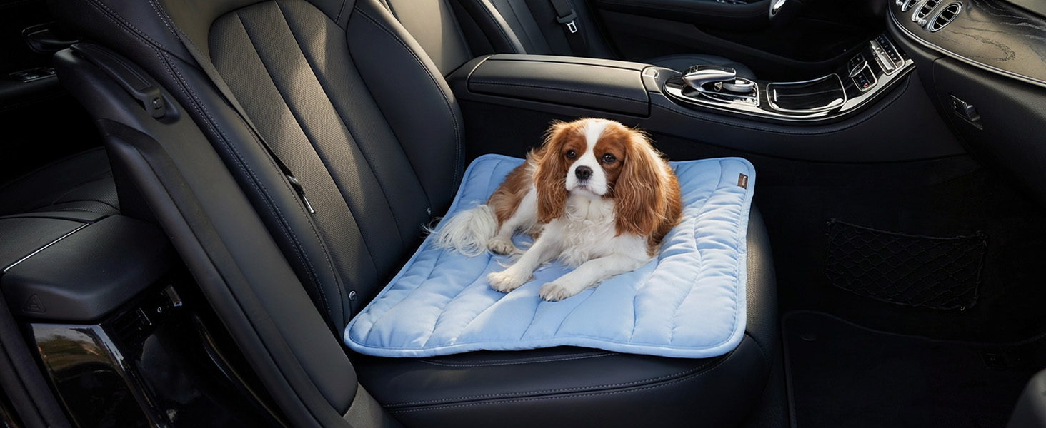 Pet Cooling Mats for Dogs