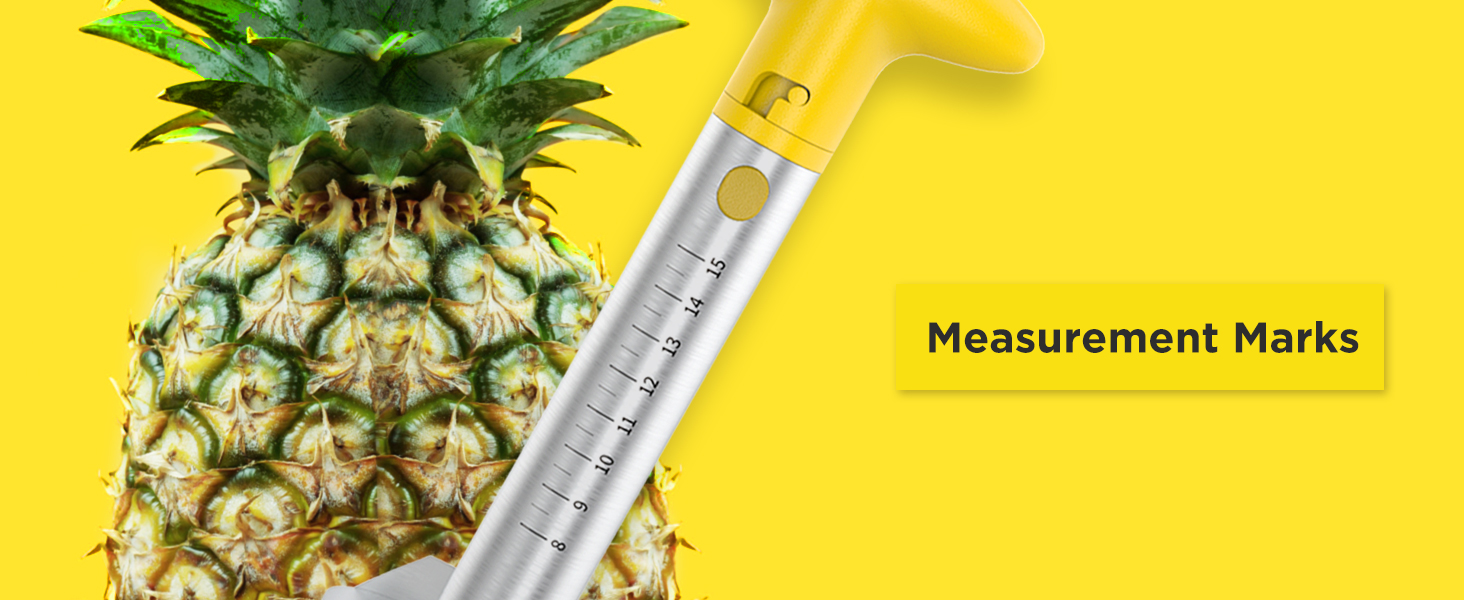 Pineapple Cutter