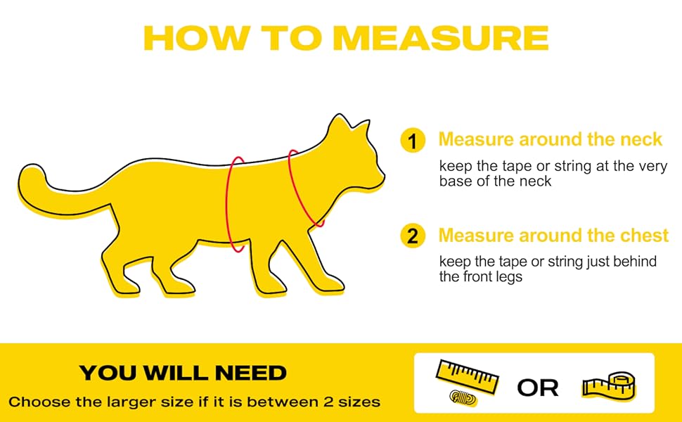 measure