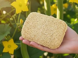 natural dish scrubber