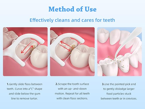 Dental Floss Picks