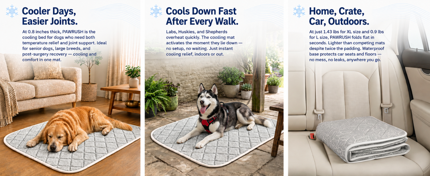Cooling dog bed for older dogs and active dogs