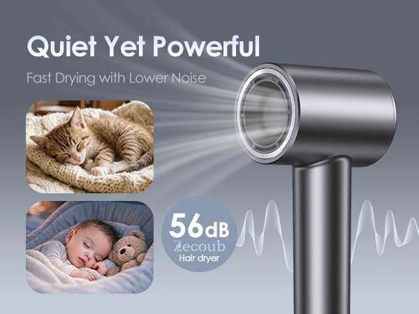 Low Noise Dryer