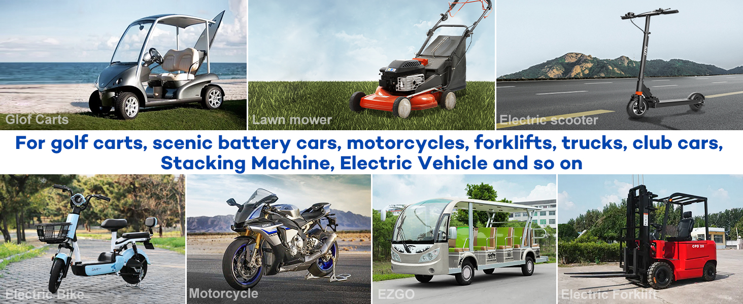 electric golf cart battery gauge