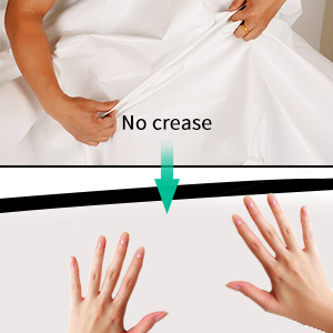 PROJECTOR SCREEN WITH STAND