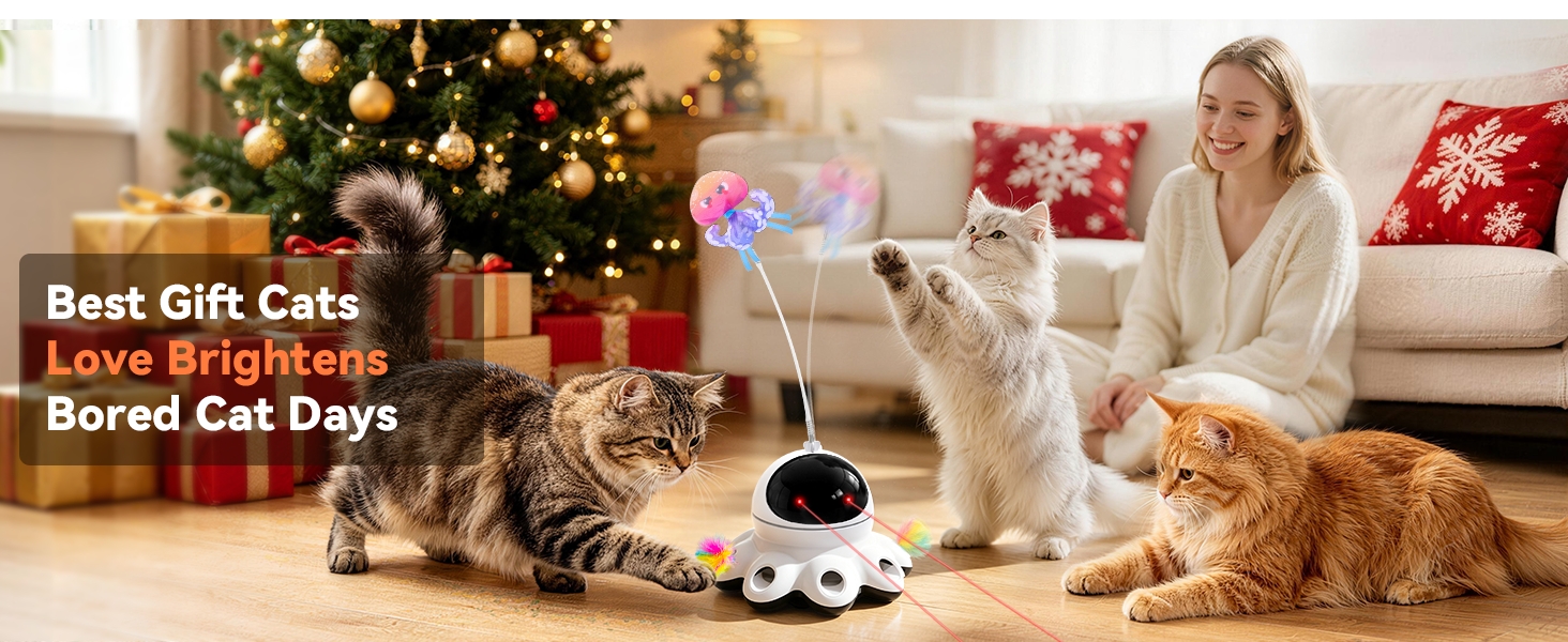 cat toys