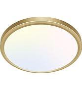 zemty LED Ceiling Light Golden - 12In 28W Aureate Flush Mount Ceiling Light, 3 Color Temperature ...