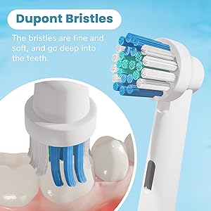 Professional Electric Toothbrush Brush Heads
