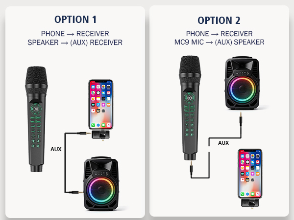Live Sound Card Microphone