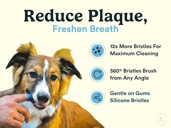 reduce plaque, freshen breath