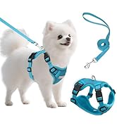 Small Dog Harness and Leash Set, Reflective Soft Breathable Mesh Vest, 3 Buckles, Adjustable Neck...