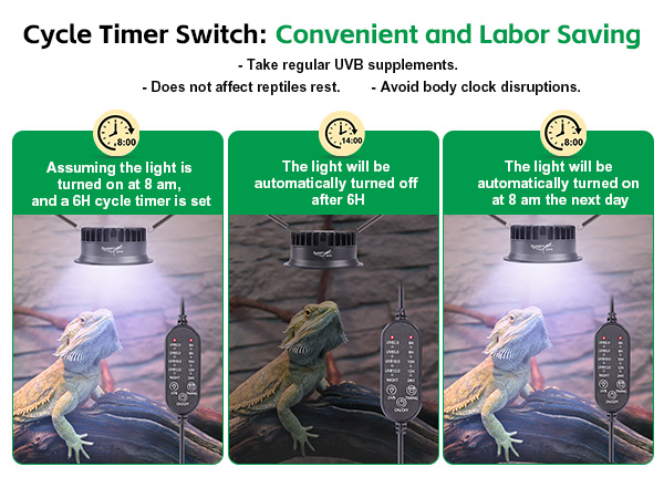 reptile light