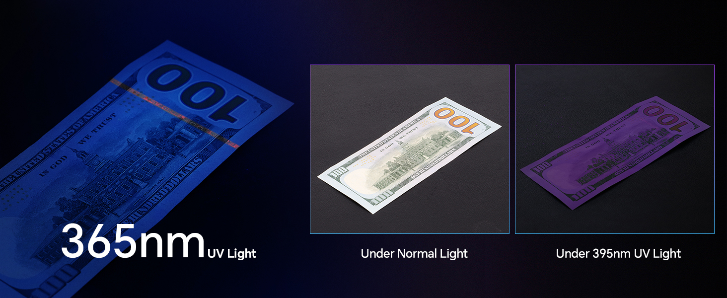 Black Light Flashlight