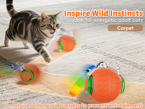 moving cat ball toy
