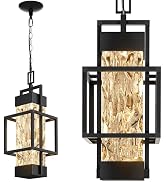 Hotsonic 15'' Outdoor Indoor Pendant Celing Light Fixture, Modern Exterior Hanging Chandelier Por...