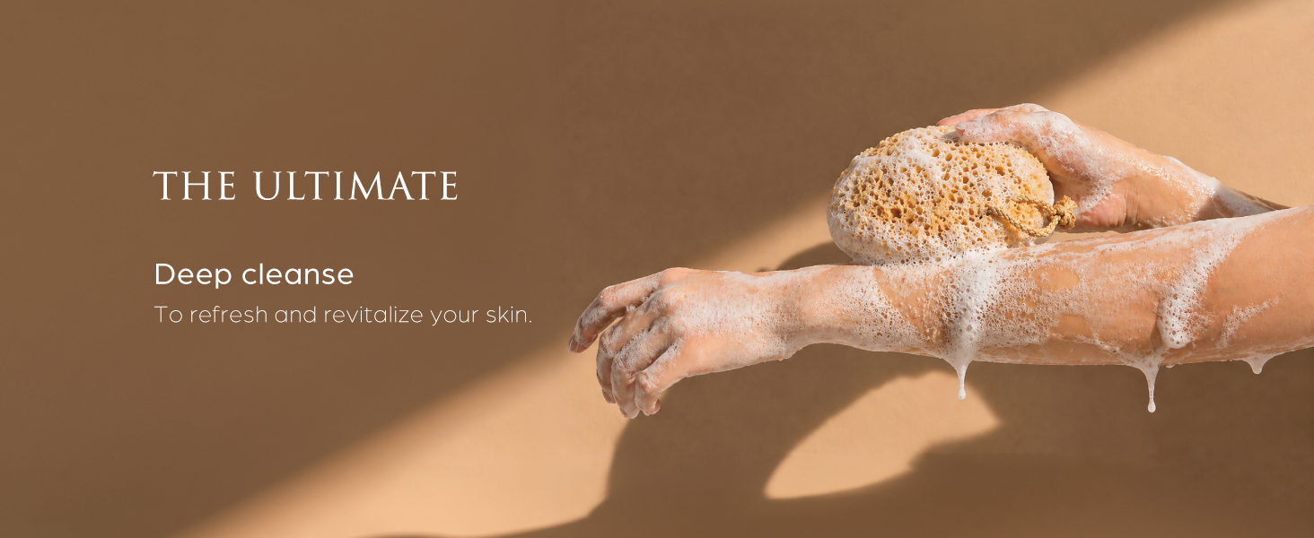 Bath Sponge