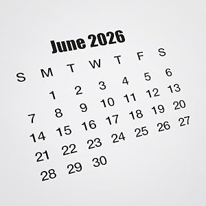 Mini Calendar