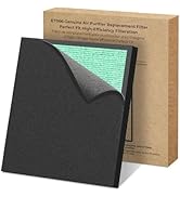 Evalit 1 Pack ET066 Genuine Air Purifier Replacement Filter for ET066 Air Purifier, Pet Dander Ve...