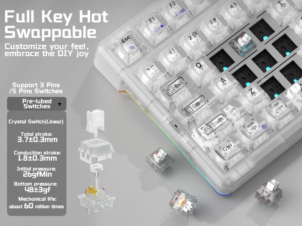 Hotswap Mechanical Wireless Keyboard