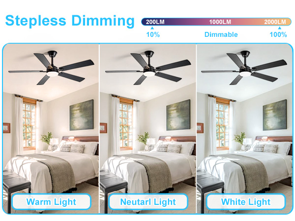 modern ceiling fan with light