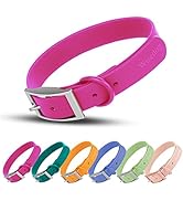 Wisedog Waterproof Dog Collar: Multiple Adjust 7" to 23.6", Soft Rubber Coated Webbing and Easy t...