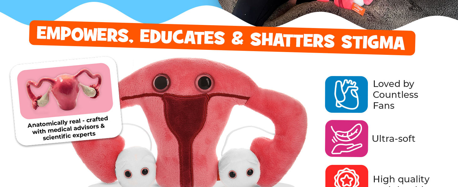Anatomical Uterus toy Uterus model Hysterectomy humor uterus pillow Ovary Plush Ovarian Cancer