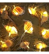 WSgift LED String Lights, Ocean Conch Beach Themed Battery Powered 9.18 ft 10 LEDs Lights for Ind...