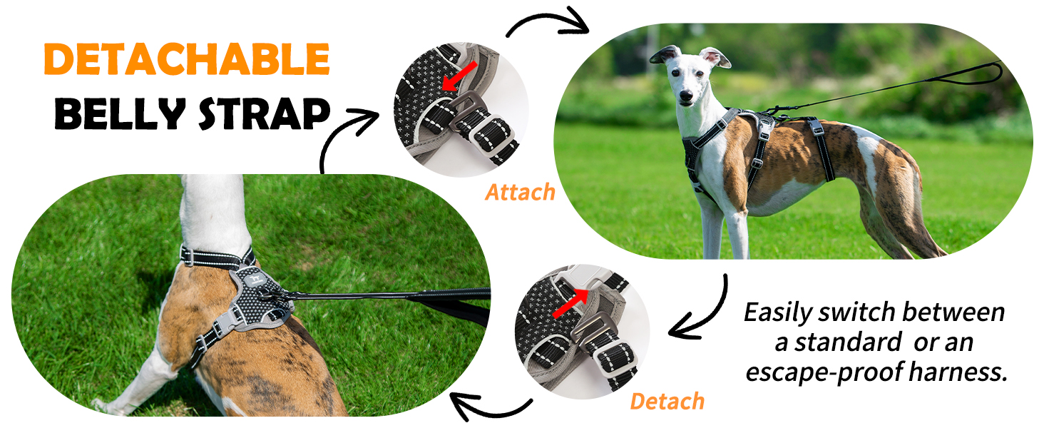 escape proof dog harness