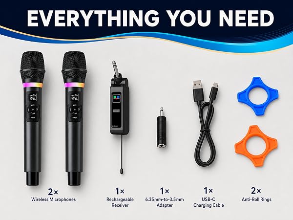 Dual Handheld microphone