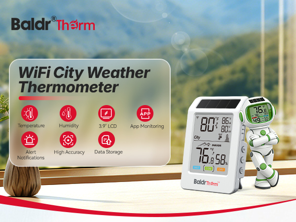 WiFi City WeatherThermometer