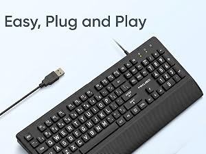 plug and play