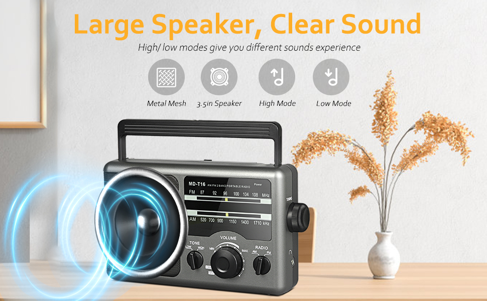 big speaker radio