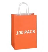 Mlyta 100 Pack 5.25x3.25x8.5 Inch Small Orange Kraft Paper Gift Bags with Handles Bulk for Goodie