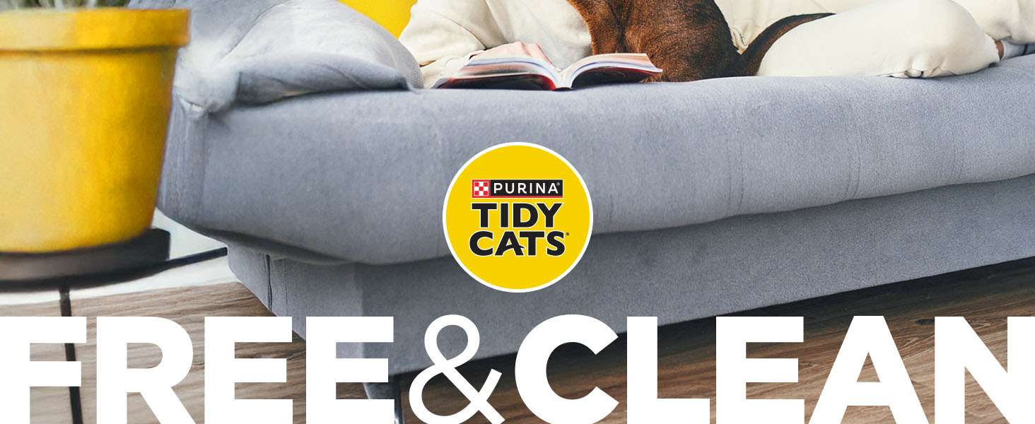tidy cats free and clean couch
