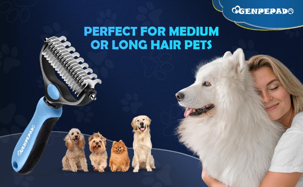 shedding rake dog