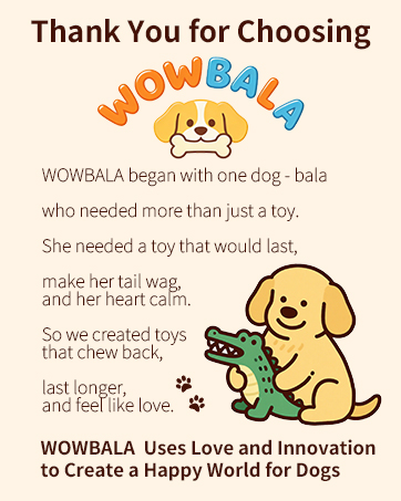 Bring the WOWBALA Dog Toy to Home and Make Your Pet Tail Wag Higher